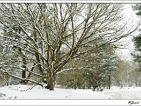 20101202_0064 kopie